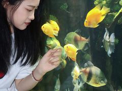 -重庆欢乐海底世界