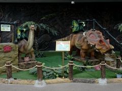 -陕西自然博物馆