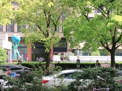 -上海交通大学医学院附属上海儿童医学中心(陆家嘴总院区)