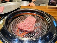 -观品和牛