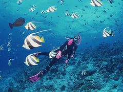 -亚龙湾海底世界