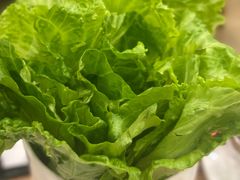 -永記粤菜·五指毛桃花雕鸡煲(九亭店)