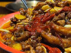 -柴窝堡22号辣子鸡·传承新疆菜