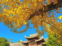 -清漾毛氏文化村