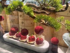 -鹿鸣酒家(越秀店)