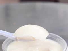 -义顺牛奶公司(新马路老店)