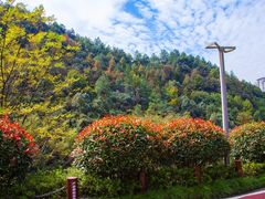 -桃花岭景区