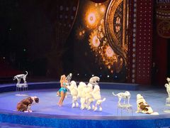 -珠海横琴长隆《卡卡虎奇遇记》