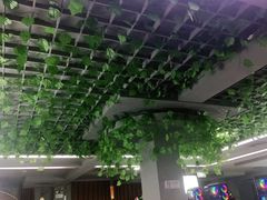 -网鱼网咖(金山卫零店)