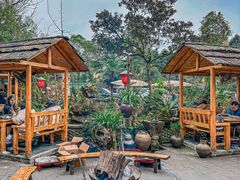 -青城甲(青城山店)