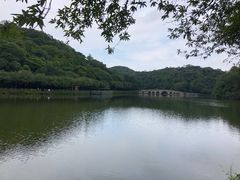 -李小龙乐园(顺德均安店)
