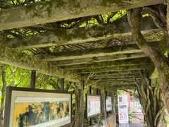 -庐山风景区花径公园