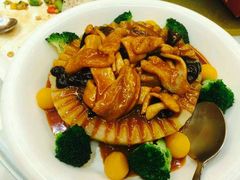 android_upload_pic-悦湖公馆