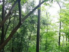 -敬亭山风景名胜区