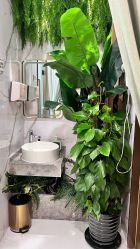 -芳朵美容养生SPA