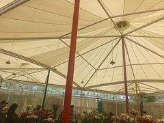 -上海鲜花港