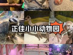 -正佳雨林生态植物园