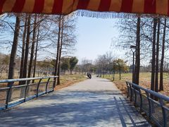 -贡湖湾湿地公园