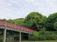 -美兰湖景区