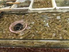 -大京园海鲜烧烤(东城路店)