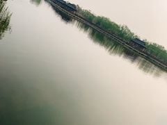 -杭州湾海上花田景区