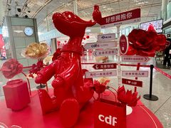 -首都机场t3-c国航两舱休息室