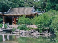 -顺峰山公园
