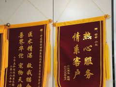 -中农国际动物医院24小时·猫科·骨科·急重症中心