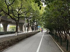 -老头爱马仕酸豇豆炒饭(丰富路店)