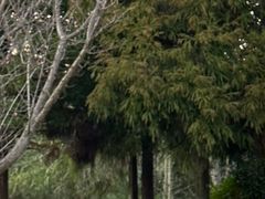 -贵阳市花溪国家城市湿地公园