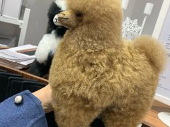 -DK45丹麦家居生活馆·依诺维绅(798店)