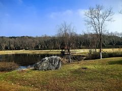 -宜兴龙背山森林公园
