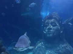 -暹罗海洋世界