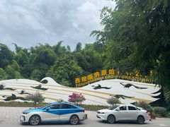 -西双版纳原始森林公园
