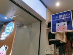 -一只酸奶牛(春熙路店)