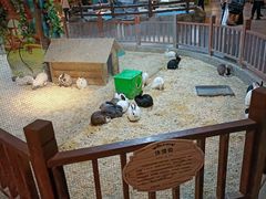 -秦皇岛新澳海底世界