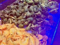 -索菲亚国际大酒店