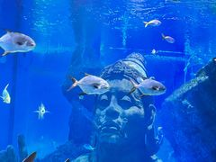-暹罗海洋世界