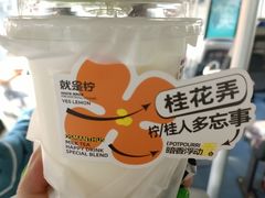 -Yes Lemon就是柠·手打柠檬茶(油坊桥店)
