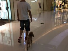 -Play1家庭娱乐中心(包河大玩家店)