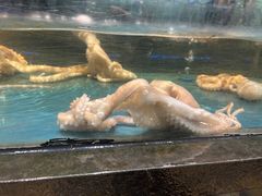 -龙宴海鲜城(经中路店)