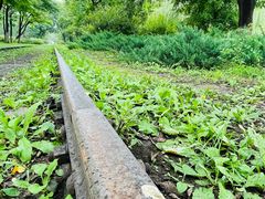 -永定河休闲森林公园