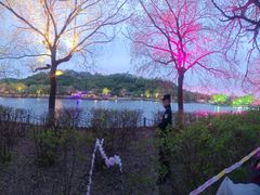 -北山公园