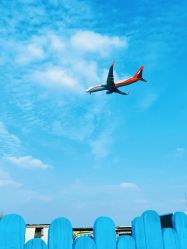 -小蜜蜂农场(凯德七宝购物广场店)