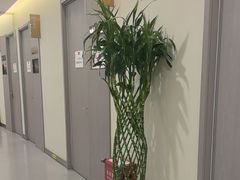 -爱康国宾体检中心(北京航天桥光耀东方分院)