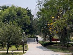 -中山市树木园