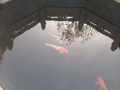 -西安市广仁寺