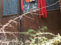 -书隐楼