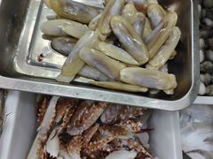 -梅子大排档
