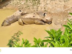 -泉州海丝野生动物世界